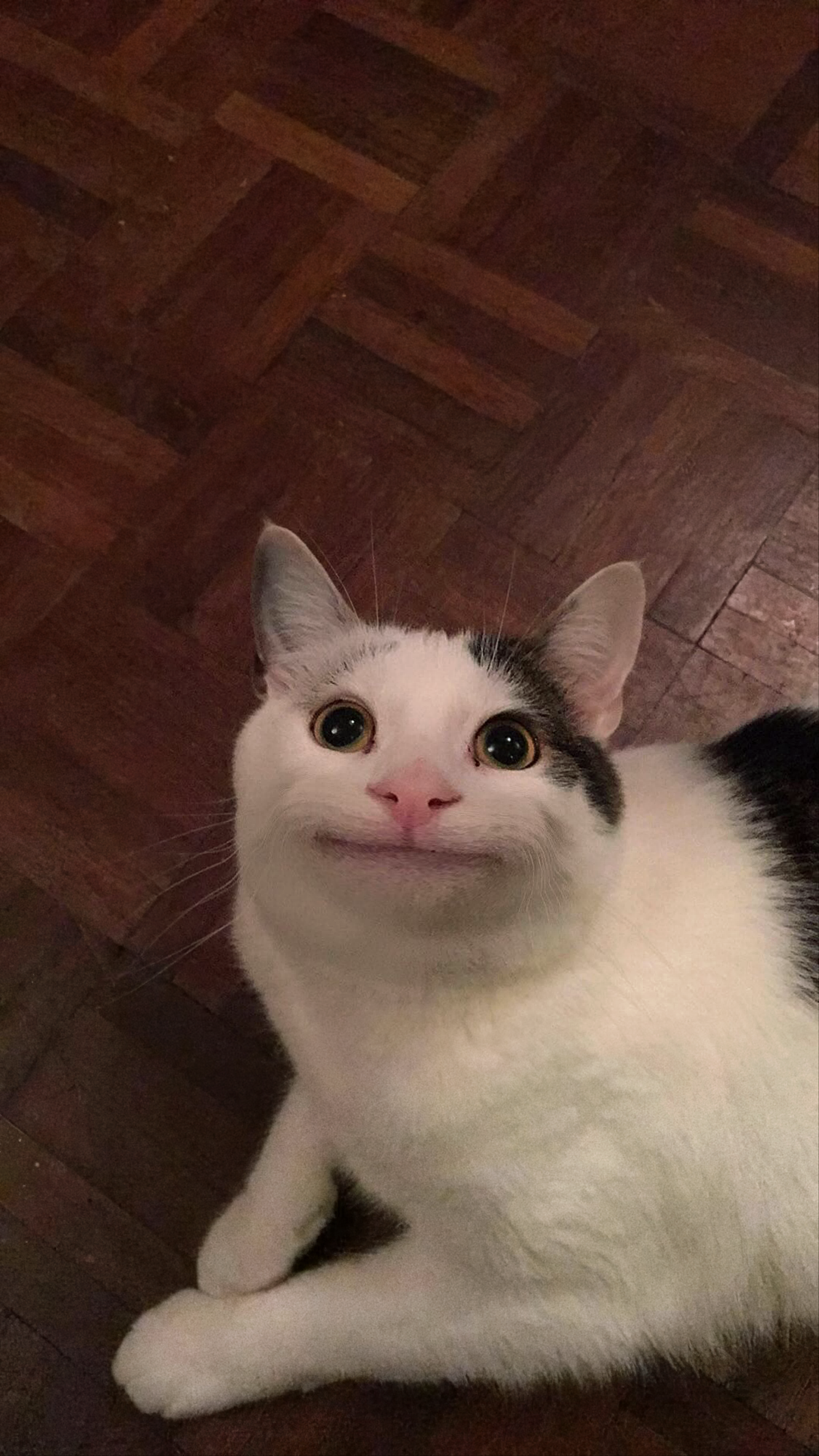 Beluga smiling